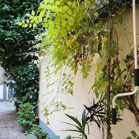 Apartment Loft Albertina