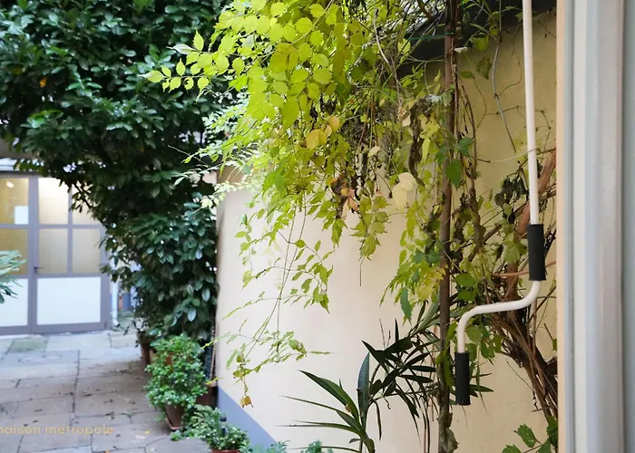 Apartman Loft Albertina